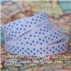 Order  Grosgrain Ribbon - Swiss Dot White/Sky